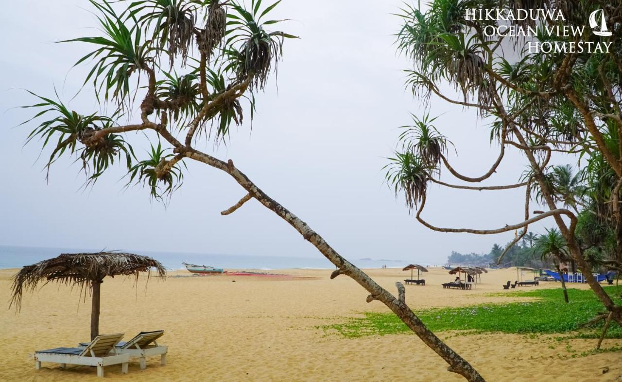 Hikkaduwa Ocean View Homestay מראה חיצוני תמונה